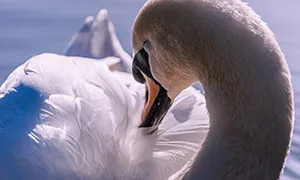 

4 pcs 1 Set Aluminum Alloy Metal Whee Rim Fit HPI HSP RC model 1:10 On-Road Racing Car for HSP94123/94122/94103 D4/D3/CS 5Yall