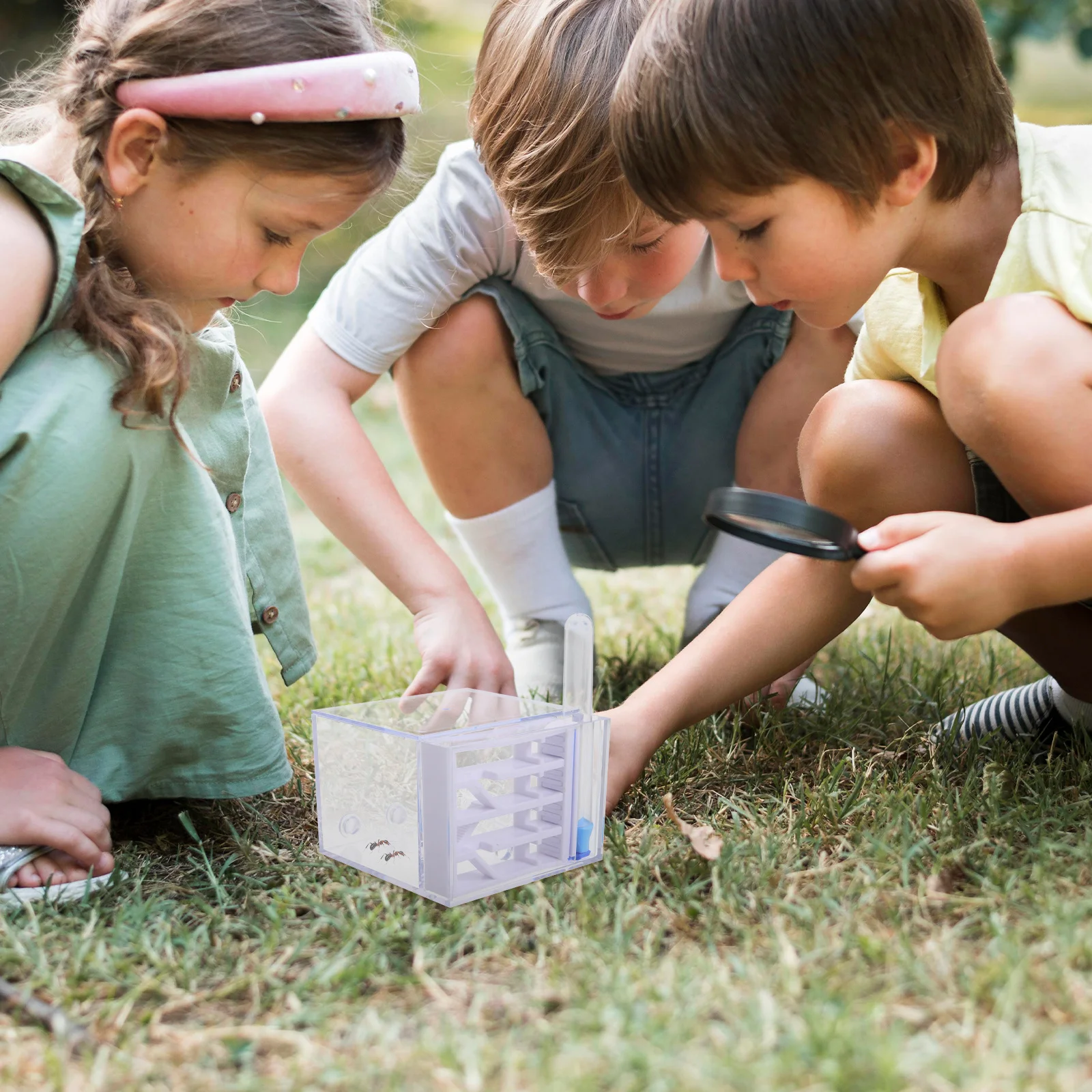 

Ants Castle Colony Habitat Transparent Acrylic Nest Farm For Live Ants Observation Stem Science Project Kit For Kids