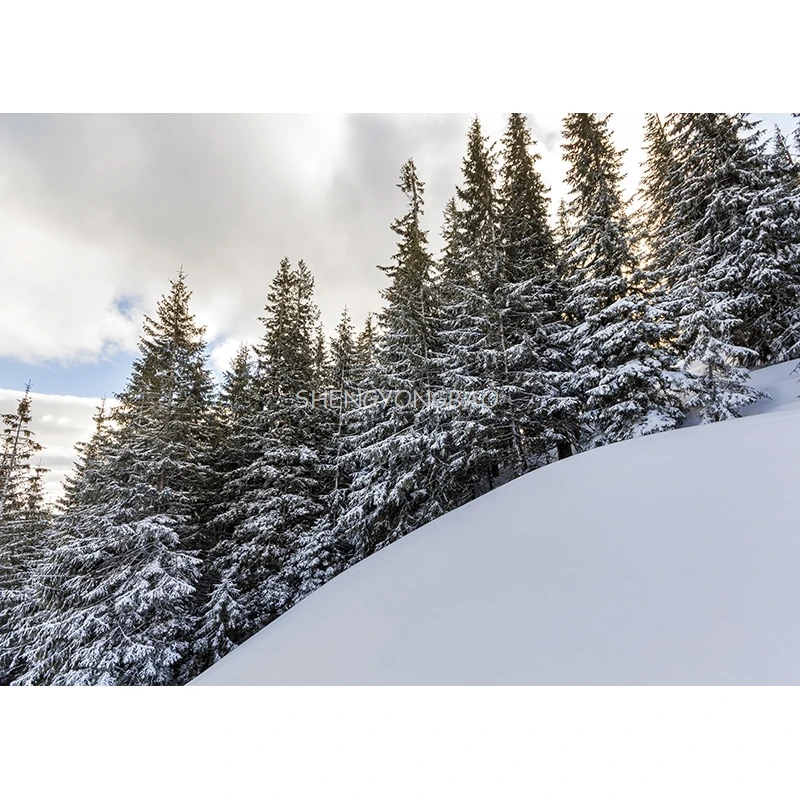 Fondo de fotografía de paisaje Natural de invierno bosque paisaje nevado viajes foto telones de fondo accesorios de estudio 21101 XJS-02