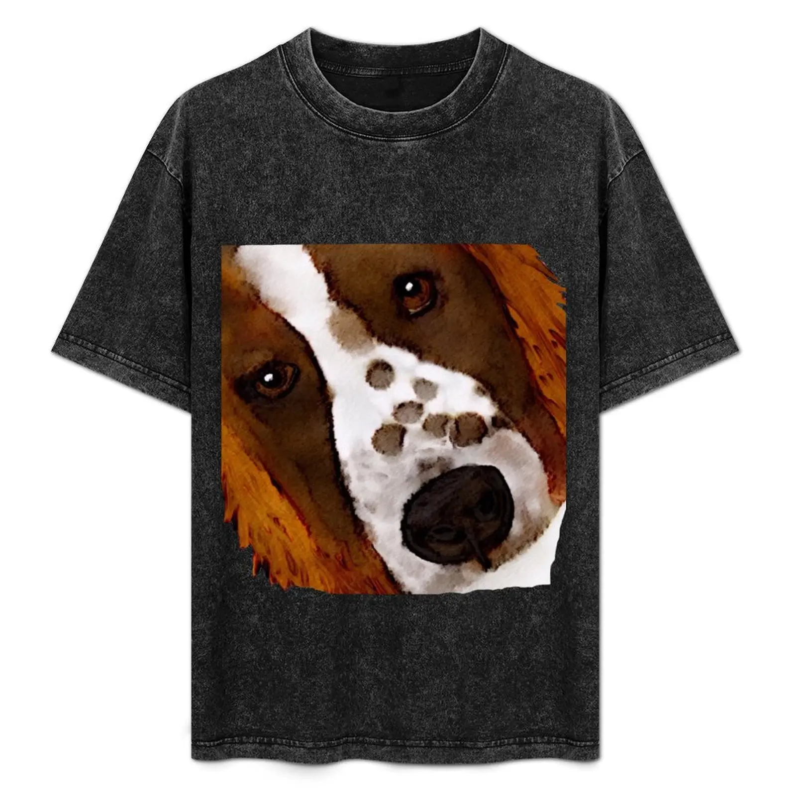 

Welsh Springer Spaniel Art T-Shirt Basic Plain Short Sleeve Crew Neck Tee