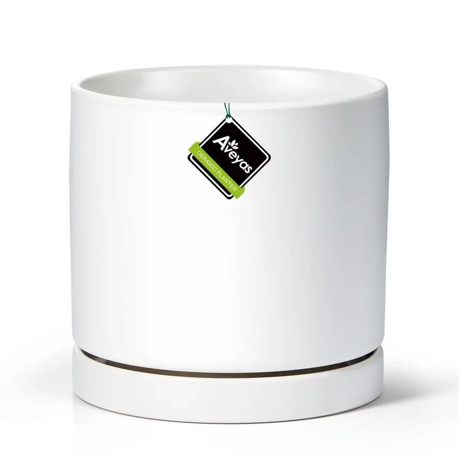 8 Inch Ceramic Plan…