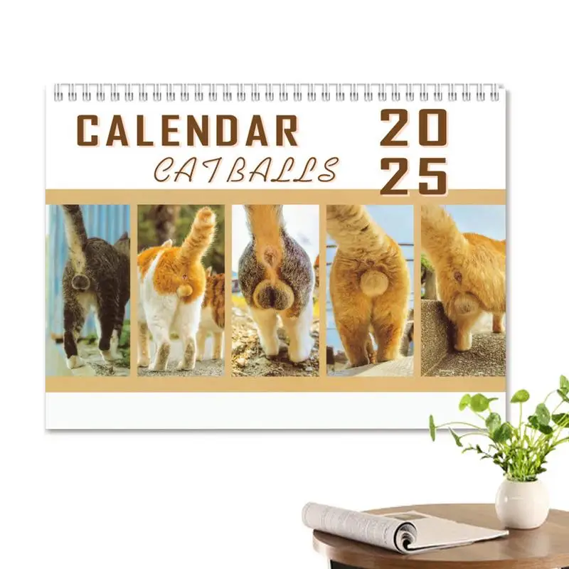 Funny Cat Butt Monthly Calendar 2025 Cat Balls Organizing Calendar Home Decoration Hangable Schedule Planner For Home School