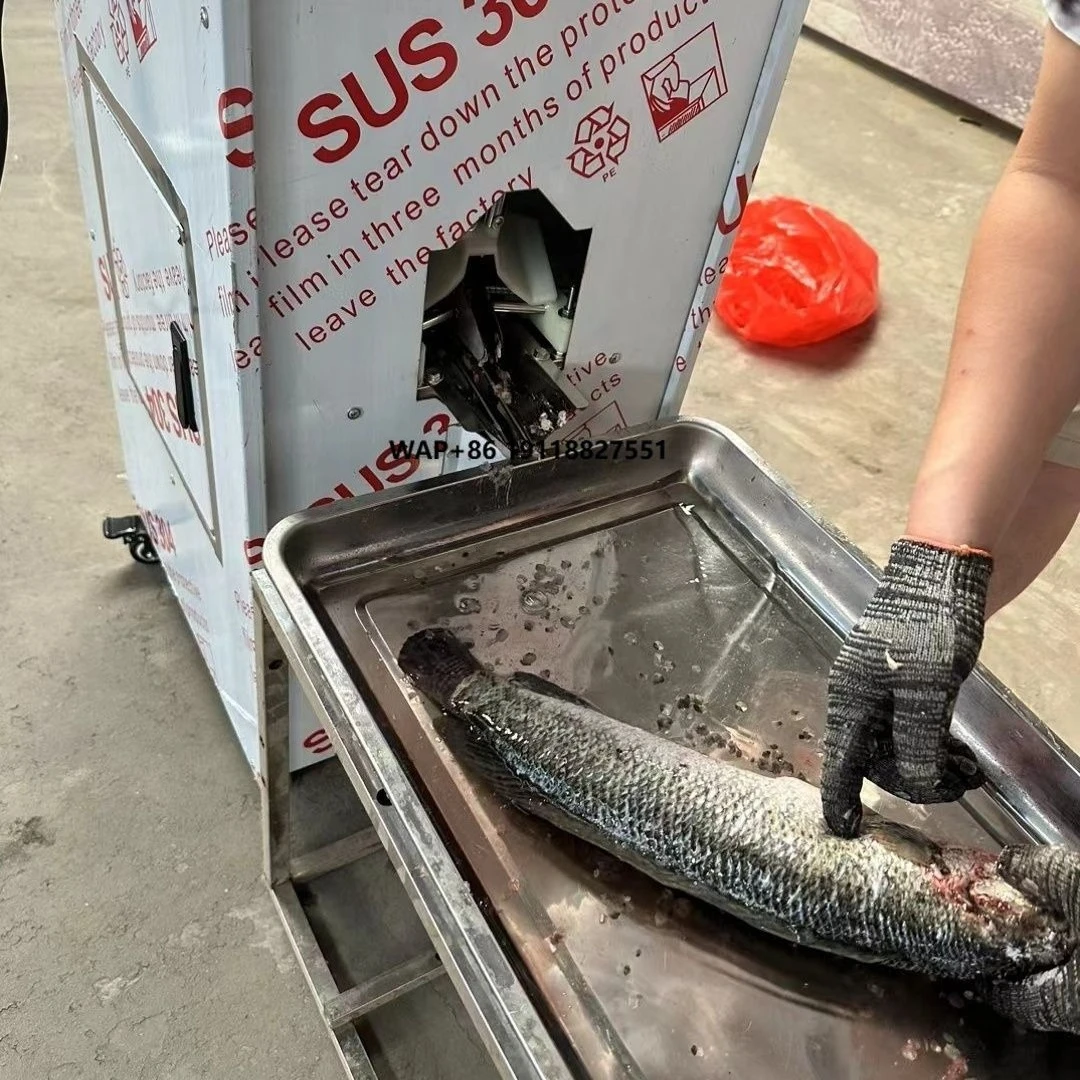 Werbeartikel: Automatische Fischschlachtmaschine aus Edelstahl (0,5-5,5 kg) – Multifunktionale Fischschuppenreinigungs- und Bauchöffnungs- sowie Rückenreinigungsmaschine