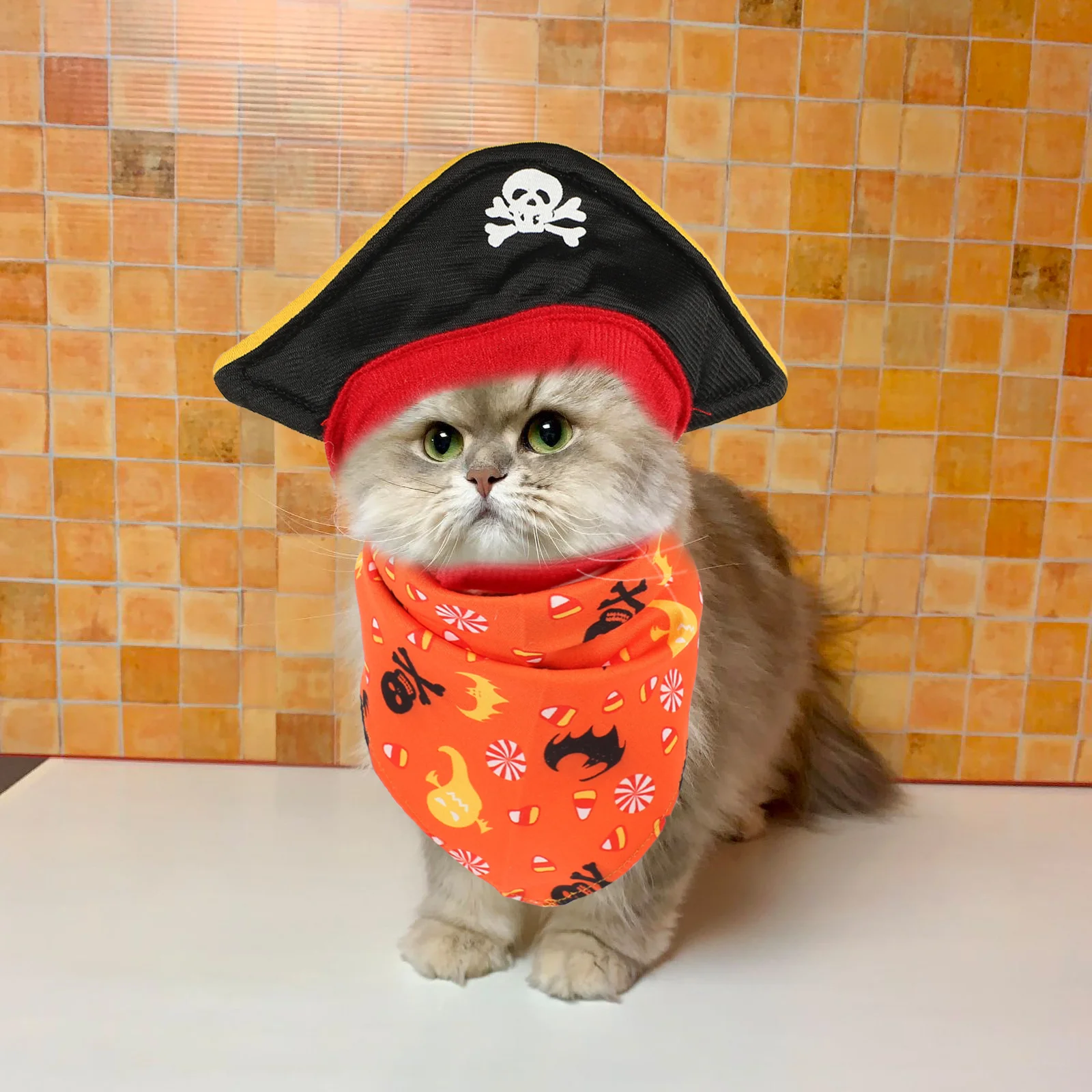 Halloween Kitten Hat Bandana Halloween Pet Cosplay Kit Pirate Costume Kit Cat Pirate Skull Bandana Eye Patch Halloween Pet