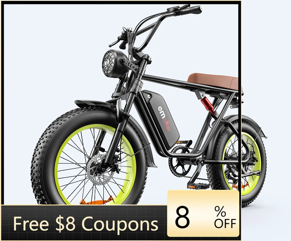 

STLF DZ WJW Advanced Linksports Factory Dropshipping European Warehouse Fatbike Electric Mountain Bike Bicycle Fat Tire City 100