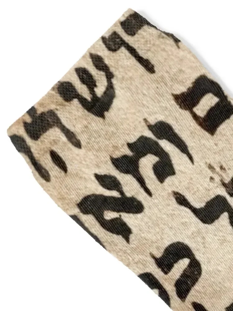 Old Hebrew Writing, Aramaic Socks winter thermal Sports floor Socks For Men Women's