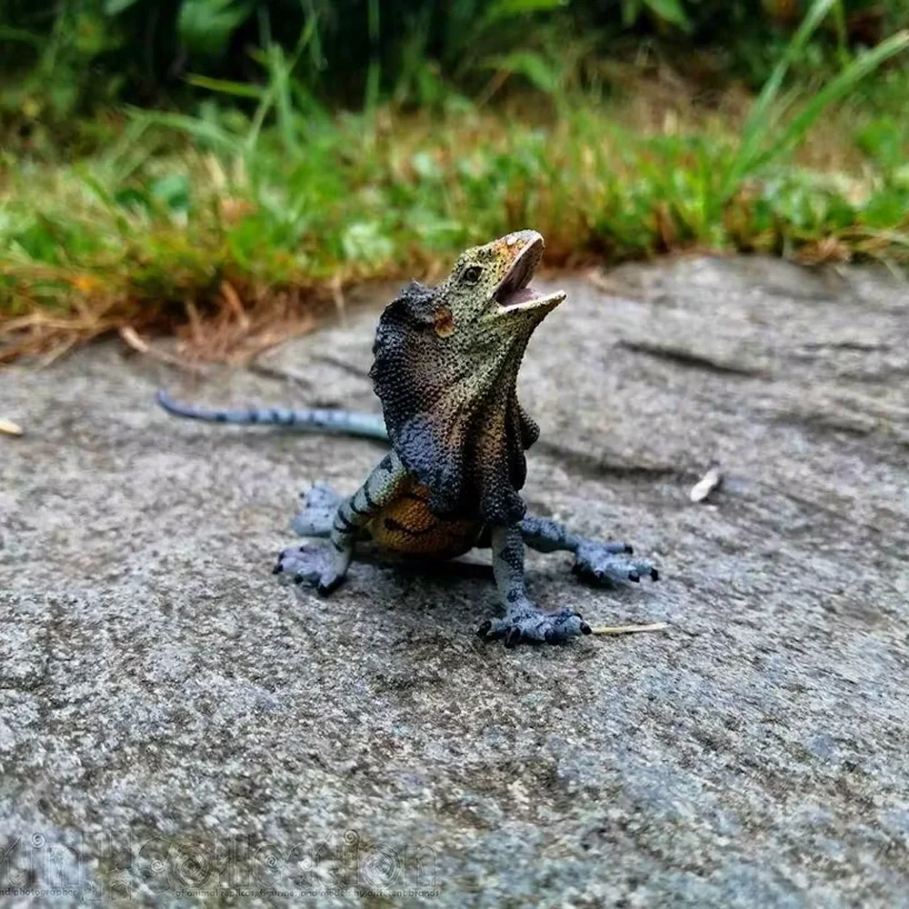 Toymany Simulation Frilled Lizard Wildlife  Animal Model Toy Mini Figures Dolls Action Figurines Toys Children Gift Cake Decora