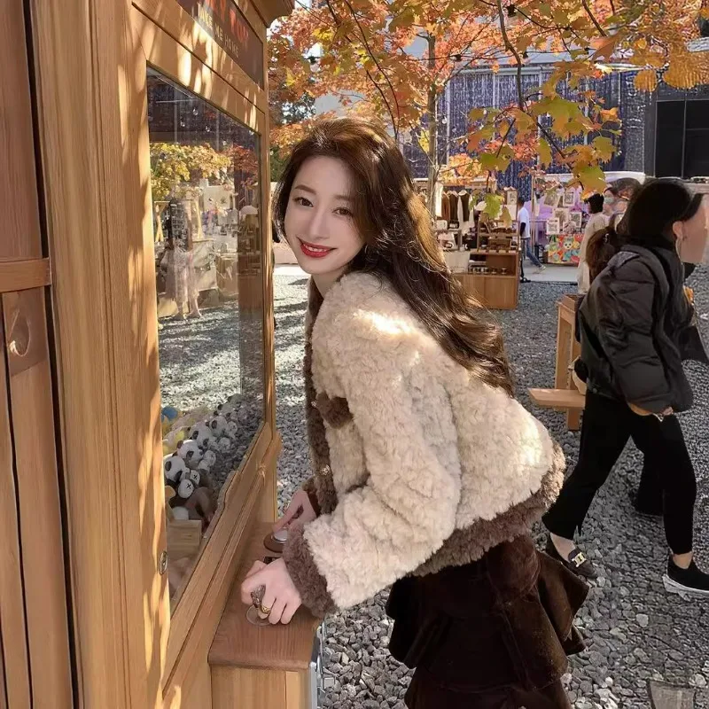A New Short Faux Lambskin Coat Women Autumn Winter Retro Loose Cotton-padded Plush Top Fashionable Simple Warm Women's Clothing