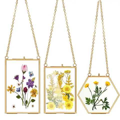 Double Glass Handmade Pressed Flower Frame Wall Hanging Picture Frame for Dried Flowers Home Wall with Chain--Only Frame