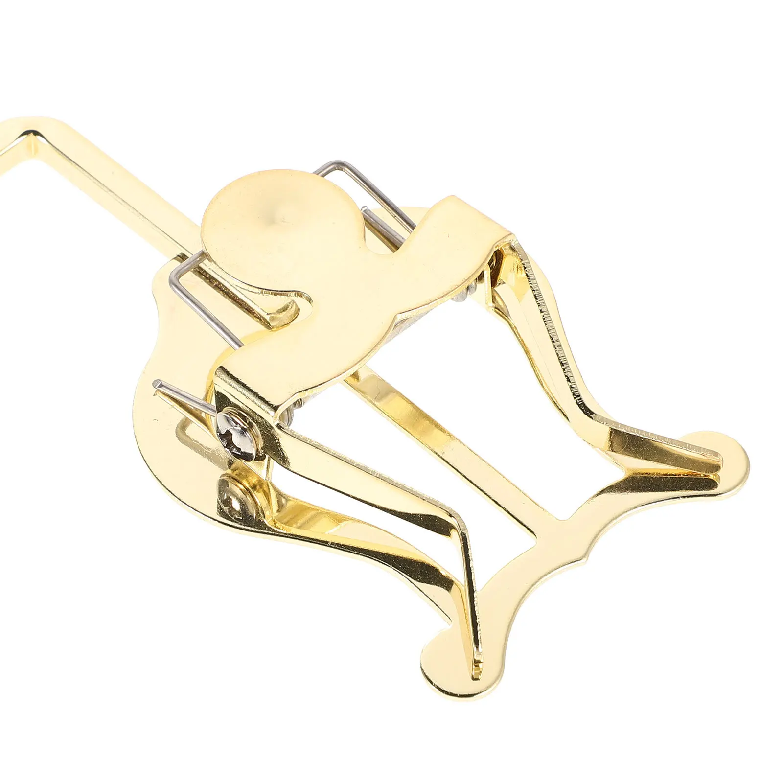 

5pcs 5 Pack Clarinet Music Holder Alto Saxophone Lyre Clip Mount Accessories for Golden