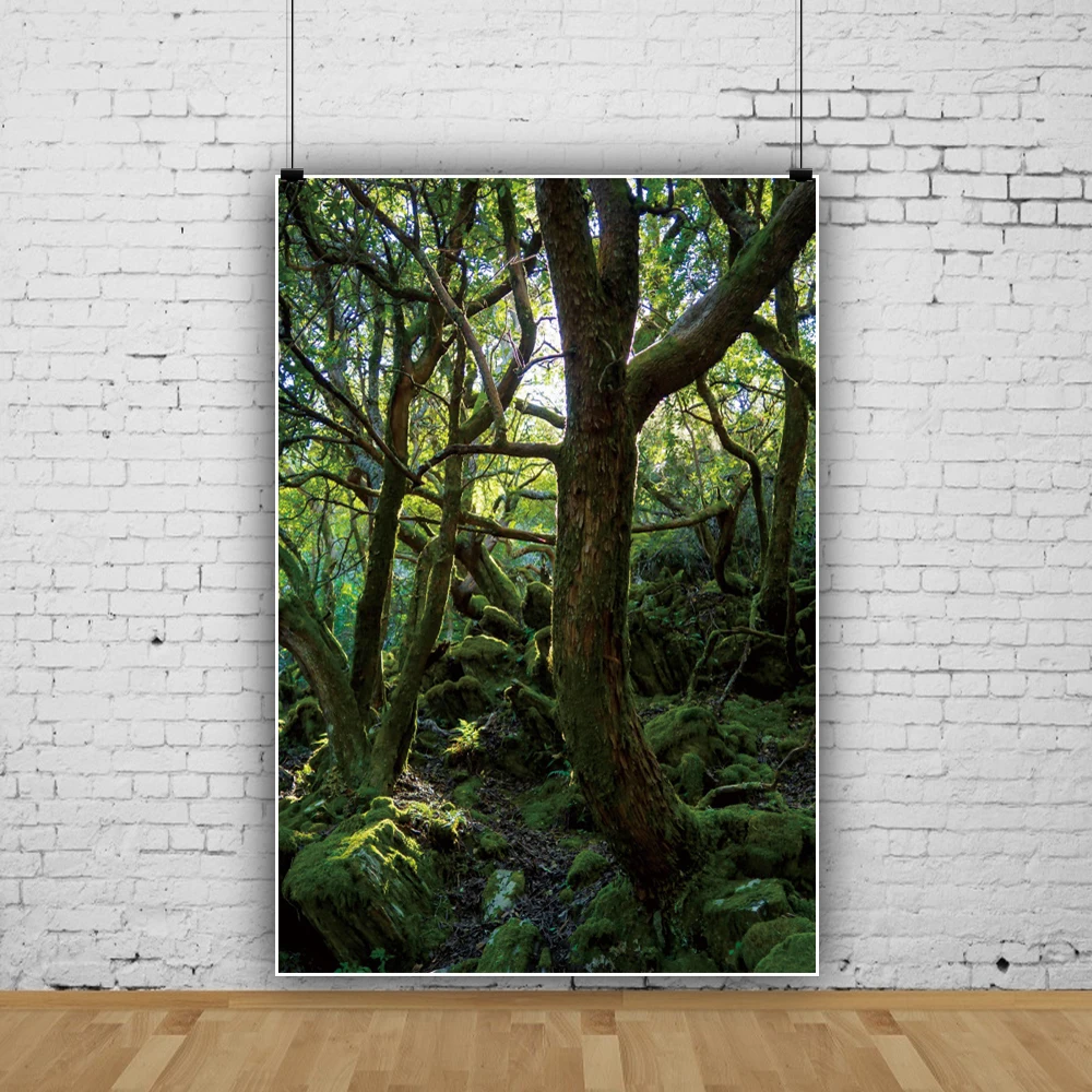 Natural Virgin Forest Fotografia Fundos, Rainforest folhas verdes, Nature Scenic Retrato, Photo Backdrops