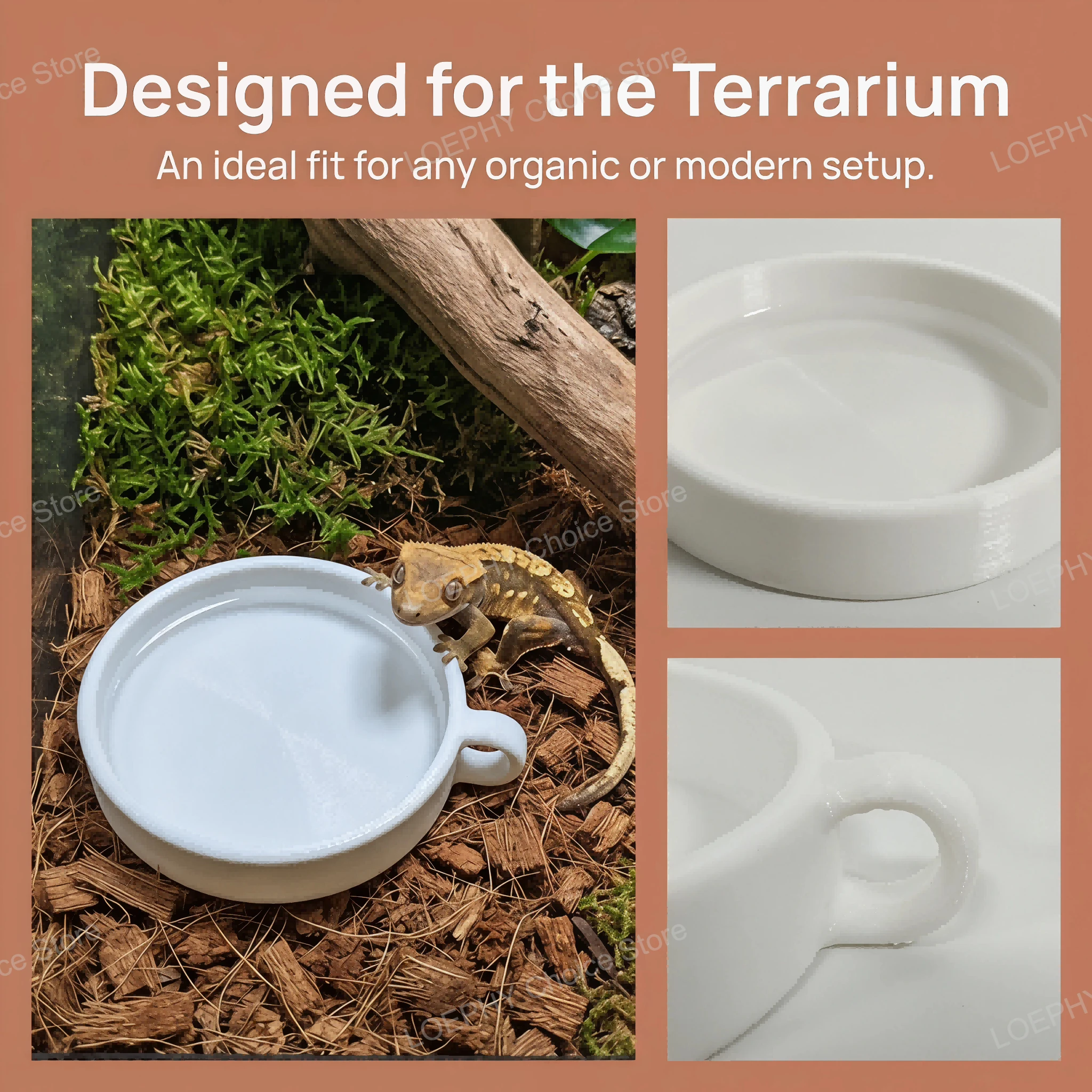 Tempat Persembunyian Reptil un - 3D Printing In Food ulasan dan harga