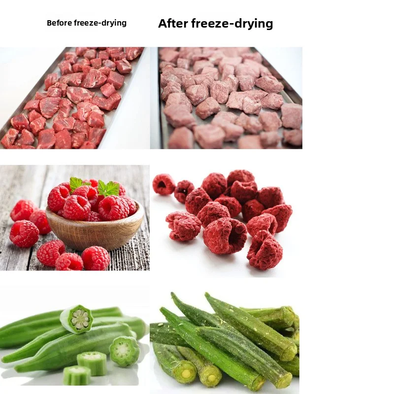 Lyophilisateur domestique pratique Compact à faible consommation d'énergie automatisé sous vide à basse température personnalisé
