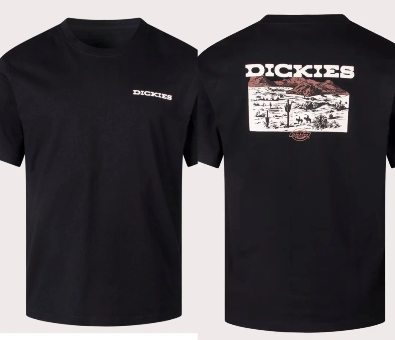 

Relaxed Fit Landscape TShirt in Egret Dickies High-end Luxury Is for Both Men and Women Top Y2k Free Delivery High Street Boom