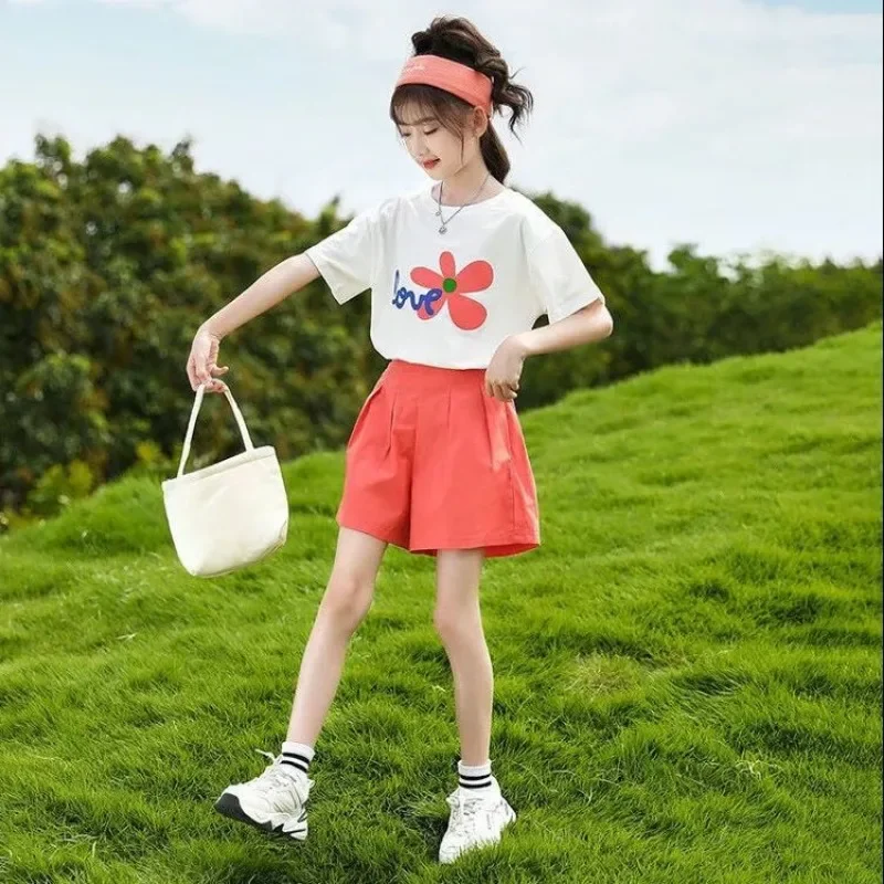 

Children Clothes Suits Summer Girl Kids Clothing Tracksuit Baby T-shirt +Short Pant 2pcs Set Toddler Christmas Cartoon Outfits 8