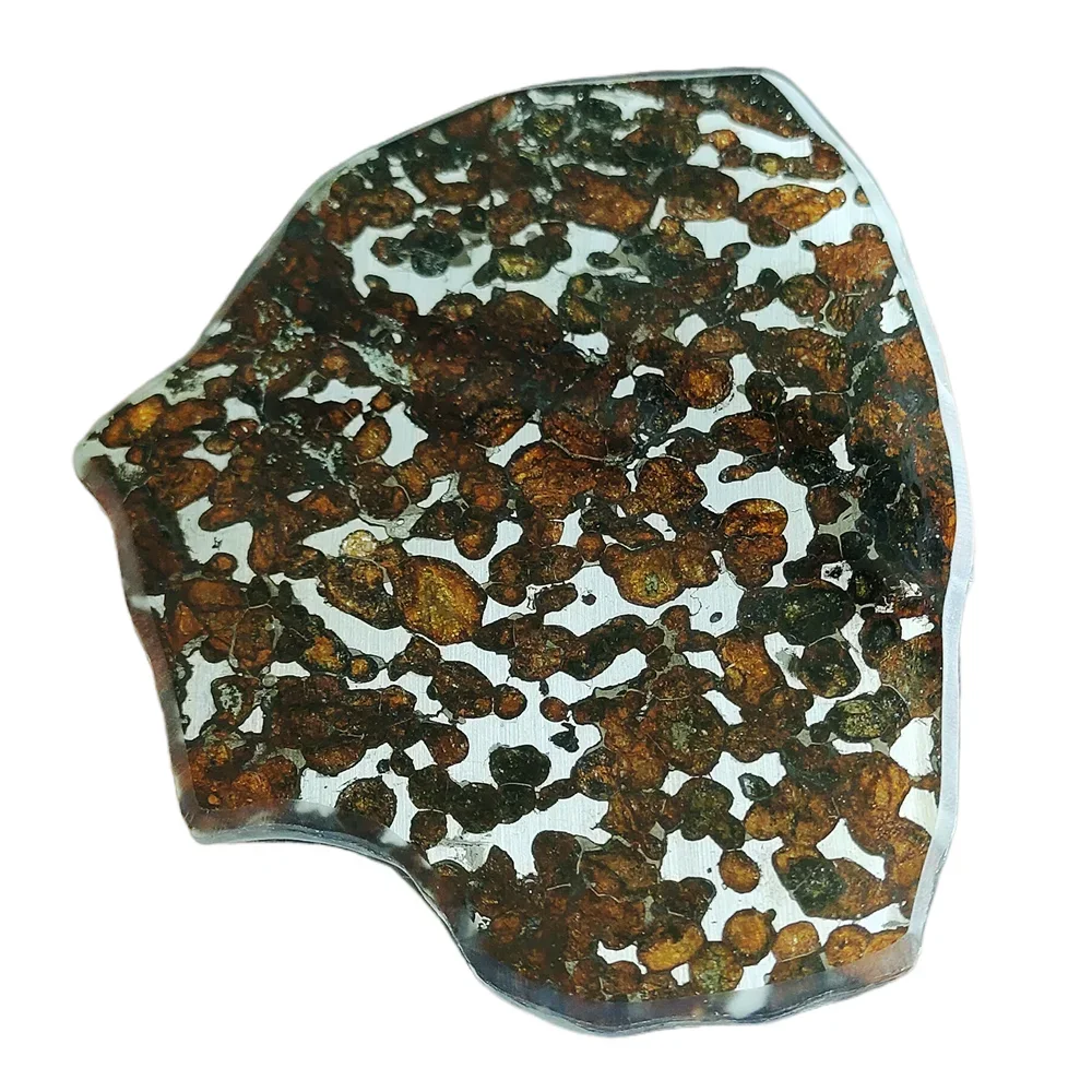 93.5gSERICHO Pallasite Natural Meteorite Material Sliced Olive Meteorite Slices Specimen Gift - From Kenya - TA208