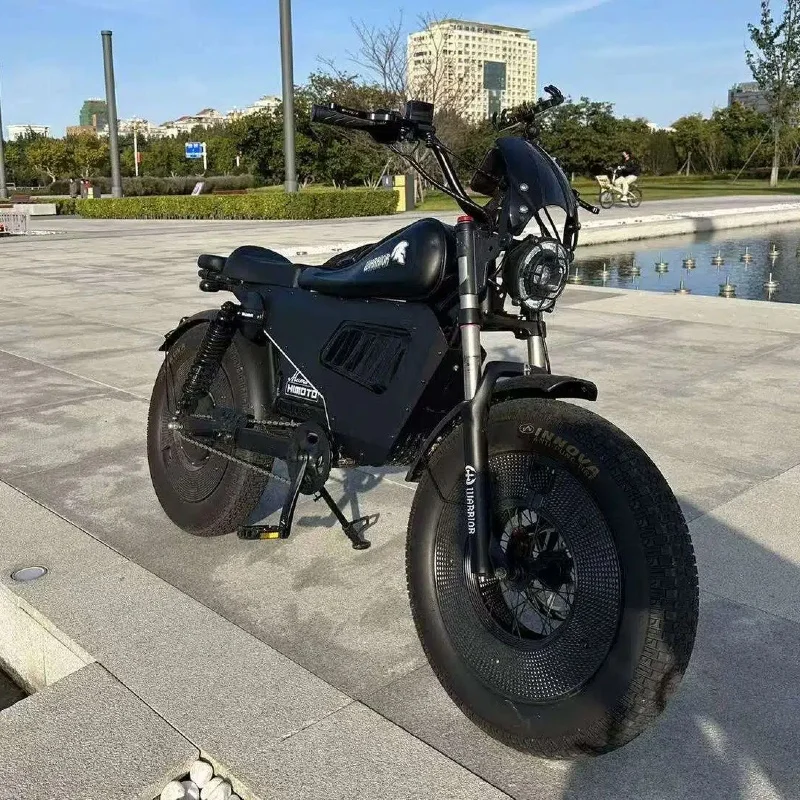 Black Warrior Motorcycle 3000W60V45AH Adult All-Terrain Mountain Electric Bike with LED Light 20 Inch Off-Road Fat Tire E-Bike image 5
