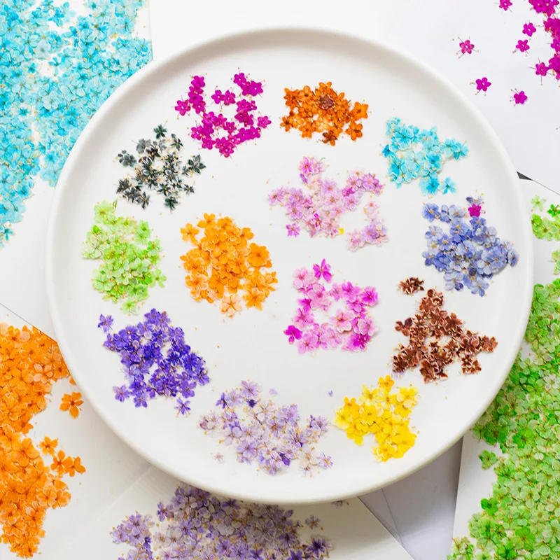 24 Stück, gepresste blaue Trockenblumen aus Spitze für DIY-Harzschmuck, Lesezeichen, Grußkarten, Scrapbooking, Aromatherapie, Kerzen, Bastelzubehör – Detail 1