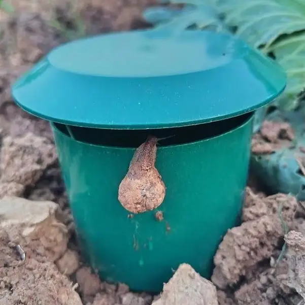 

Eco-friendly Snail Cage Slug House Snail Trap Catcher Pests Reject Gintrap Tools Pest Repeller Household Garden Farm Protector