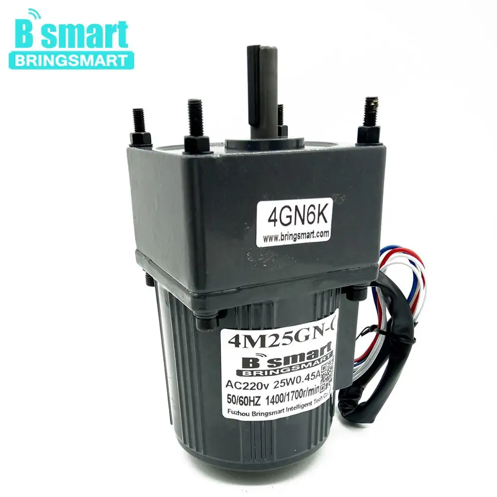 BringSmart 4M25GN-C 25W 220v Small Ac Electric Motor 200 Rpm Single Phase Asynchronous Reducer Ac Motor With Speed Controller