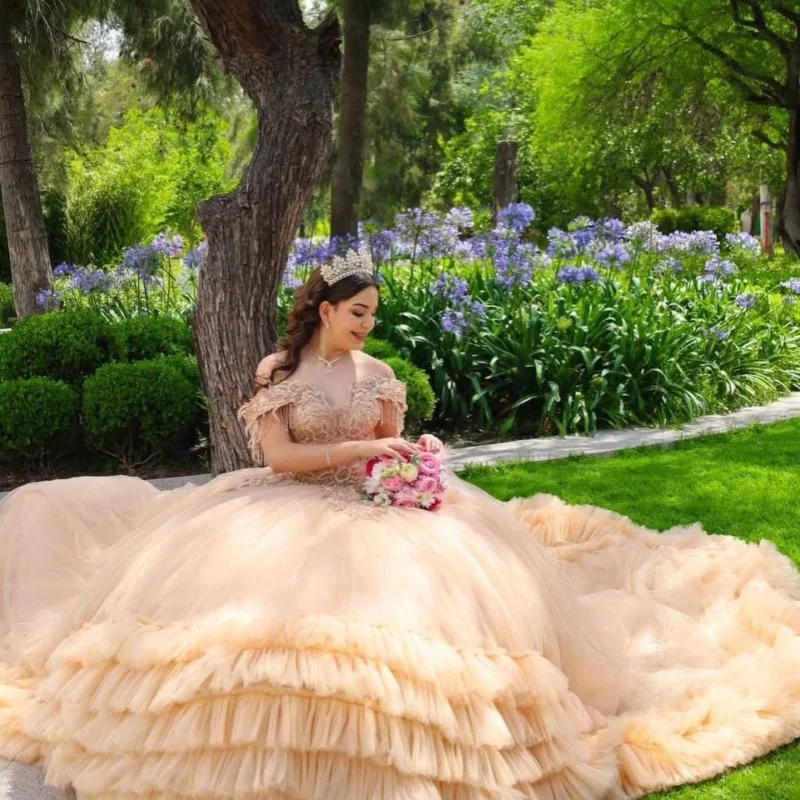 

Light Champagne Quinceanera Dress Lace layering crystal glitter flower decal Long tail vestidos de 15 Quinceanera ﻿Customized