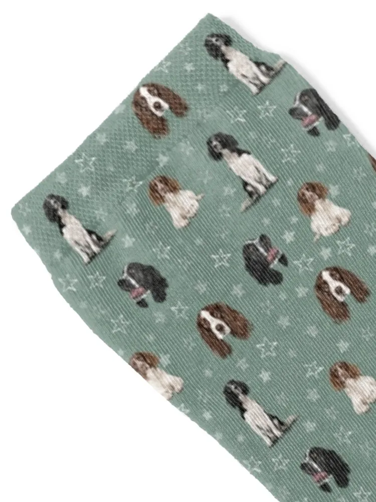 جوارب Springer Spaniel هدية عيد الميلاد للشتاء الدافئ على الموضة اليابانية للرجال جوارب نسائية