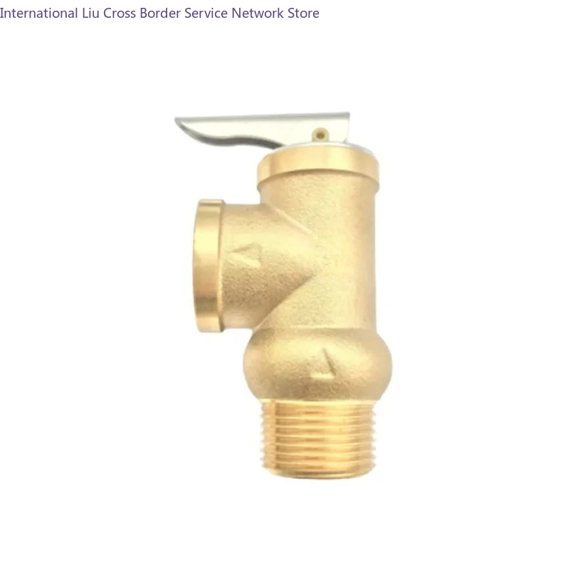 YA-20 All copper 6 point stainless steel spring type safety valve relief valve Boiler water heater 3-10Kg