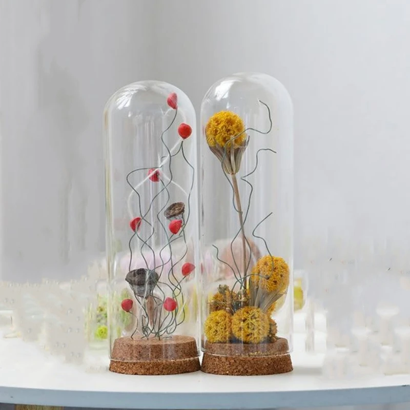Height=30cm Different Diameter Higher Form Handmade Glass Dome Vase Home Decor Cork Base Transparent Cover DIY Gift Wedding Prop