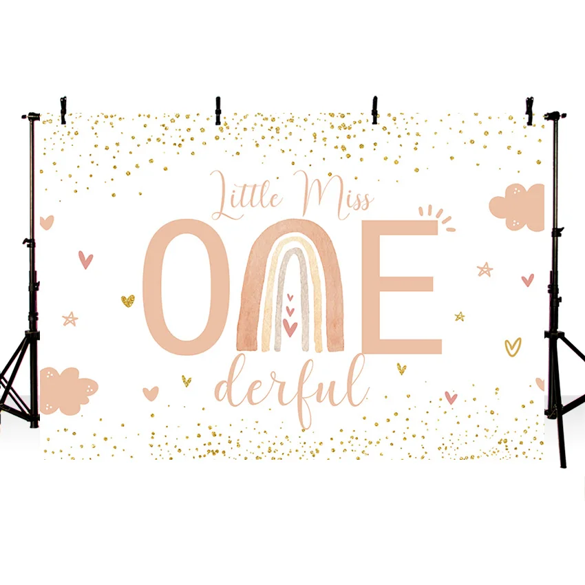Photography Background Boho Rainbow Birthday Party Little Miss Onederful Backdrop Pink Heart Baby Shower Photo Studio Banner