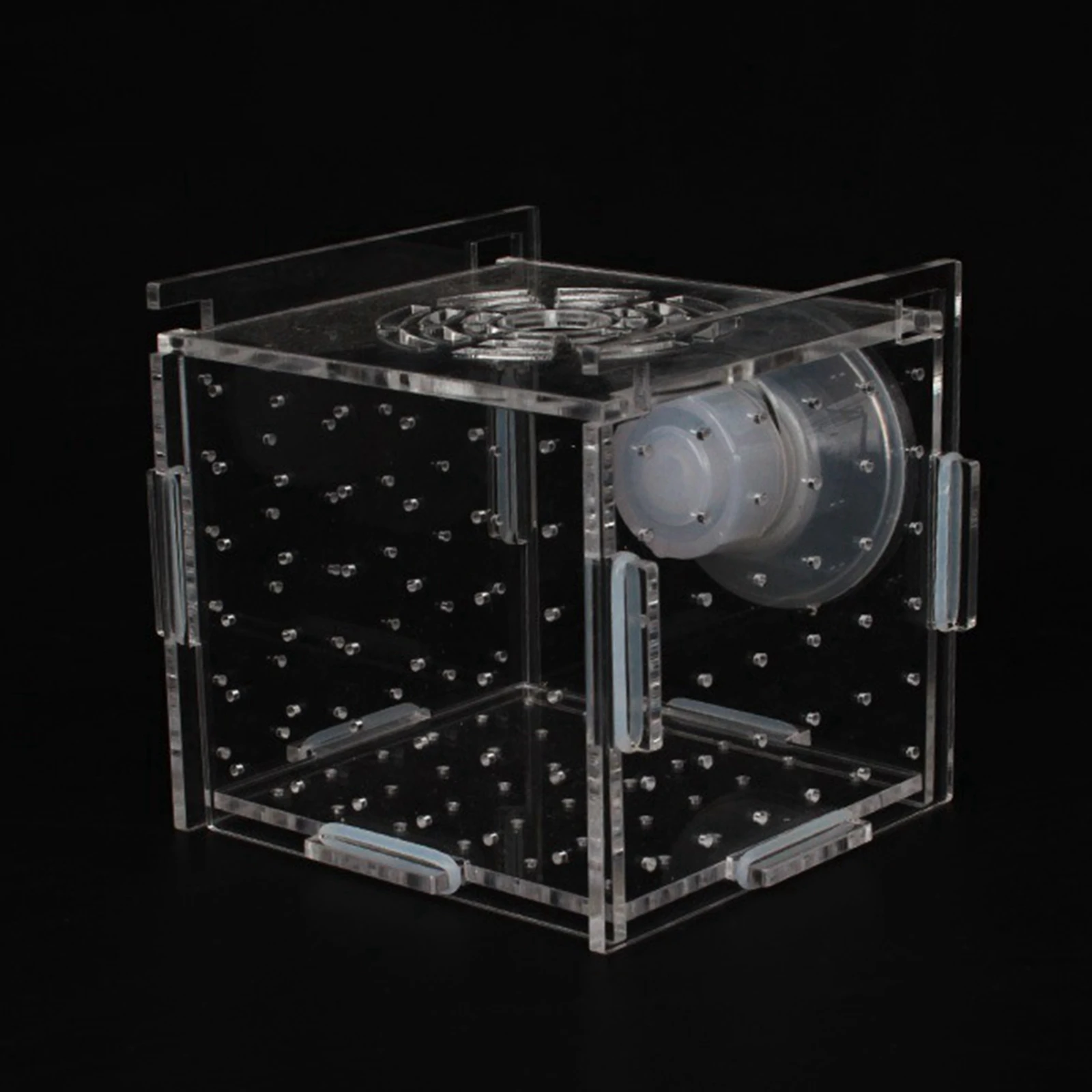 Aquariumvissen Fokker Box Aquarium Accessoire Transparante Vis Isolatie Fokken Box Voor Guppy Pasgeboren Jongen Kleine Garnaal