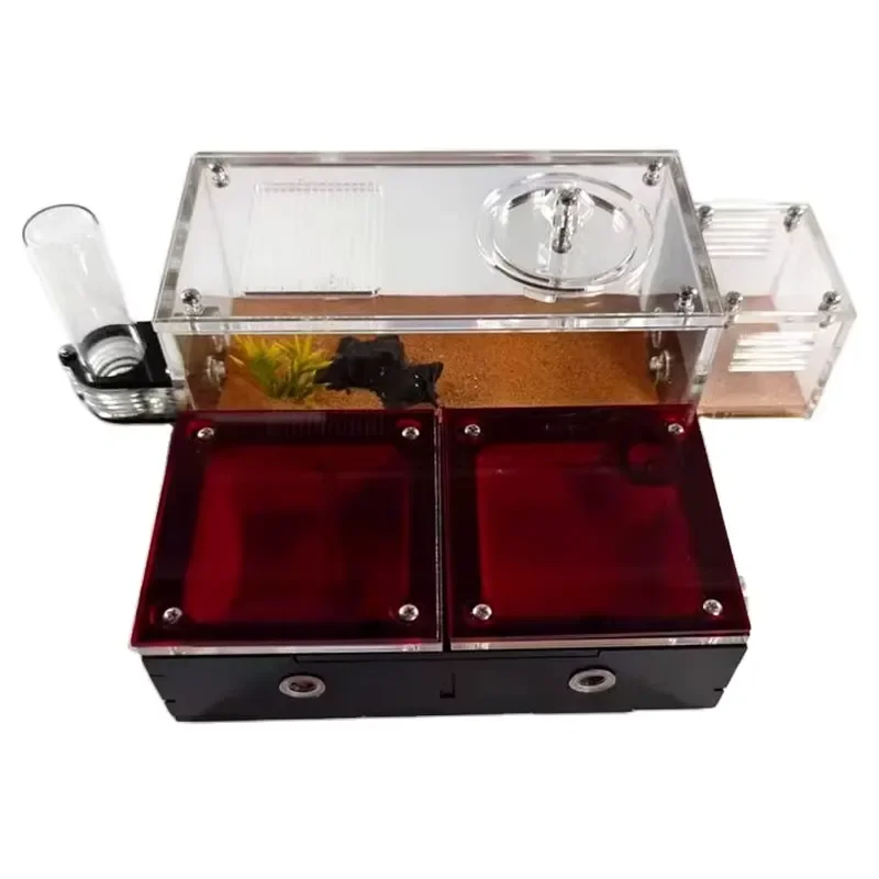 for Infinitely Expandable Ant Castle Single Water Tower Pet Ant Queen Breeding Eco Workshop Ant Nests