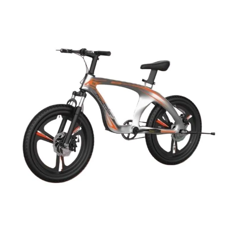 Fahrrad-Scheiben bremse aus Magnesium legierung mit variabler Geschwindigkeit Integriertes Rad für männliche und weibliche Kinder Mountainbike, neue kostenlose Installation