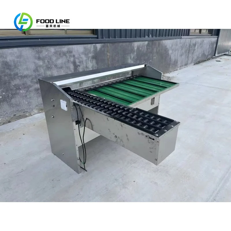 Customized Automatic Small Motorized Egg Sorting Machine with Size & Weight Grading High Capacity Farm Use