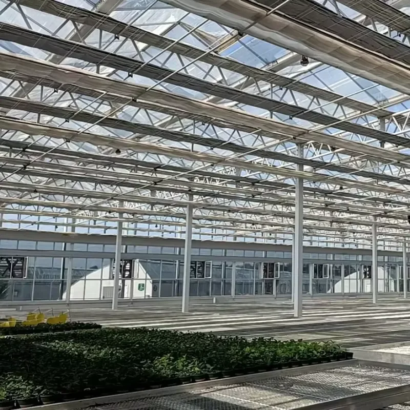 High Wind Resistance Custom Size Steel Frame Agricultural Greenhouse Nursery Seedling Equipment