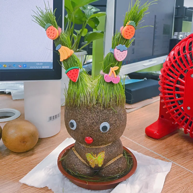 Room Decor Home DIY Decoration Small Growing Grass Head  Plant Beautiful Children Gift Indoor Balcony Baby Pot Planters Home Gif image 3