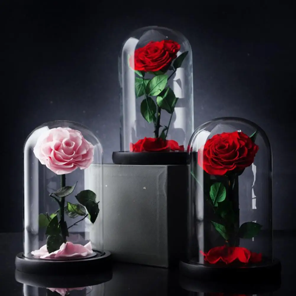 Delicate Eternal Rose in Glass Dome Eye-catching Decorative Lightweight Rose in Glass Dome Birthday Gift