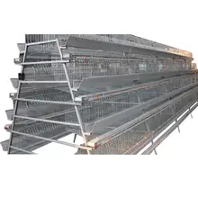 Three-layer laying chicken cage with automatic rolling egg tray — compact household hen cage for breeding and easy egg collection