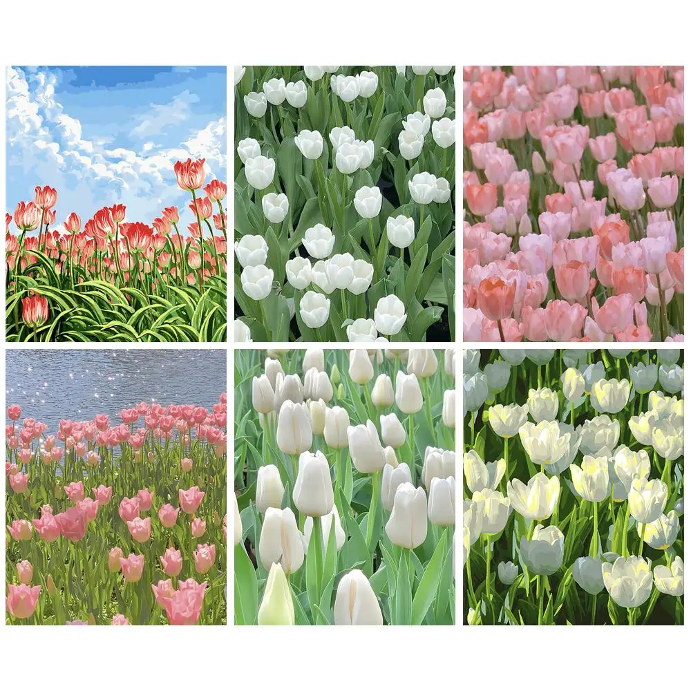 PhotoCustom Acrylic Painting By Number Tulip Drawing On Canvas Painting By Number Flower Painting Wall Art