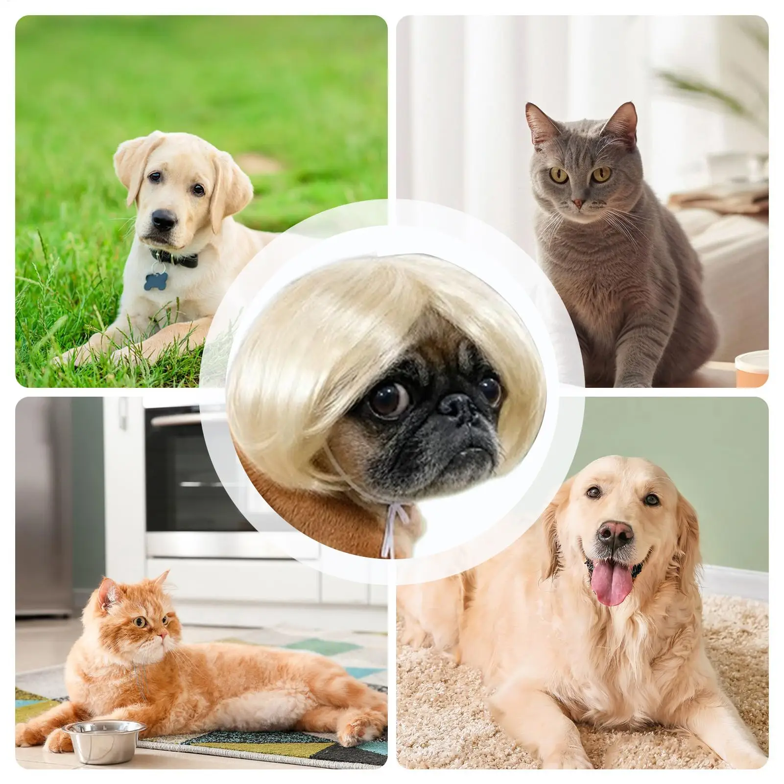 Haustierperücke, Hundeperücke, lustige Haustierperücke, Halloween-Haustierzubehör, lockiges Haar, glattes Haar, Katzenperücke, kann individuell gestaltet werden, Haustierbedarf. – Detail 7