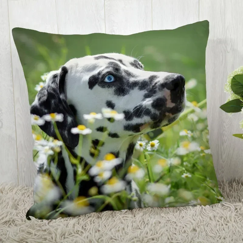 Pillowcase Dalmatians Pillowcase Modern Home Living Room Decoration Pillowcase Customizable