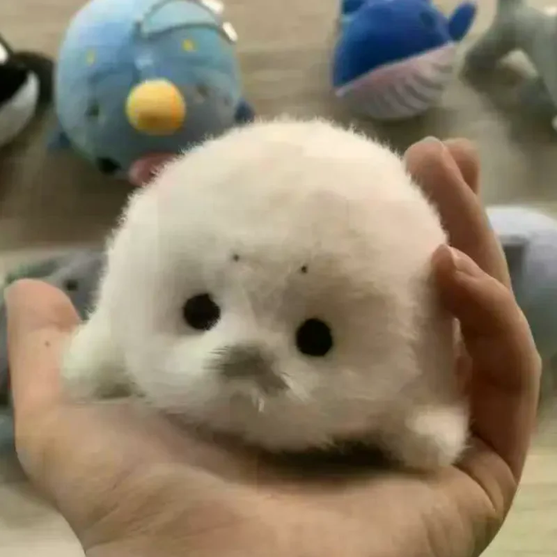 لطيف محاكاة الطفل ختم ألعاب من نسيج مخملي قلادة Kawaii المحيط الحيوان لينة محشوة حقيبة معلقة ديكور تذكارية هدية لحقيبة الملحقات