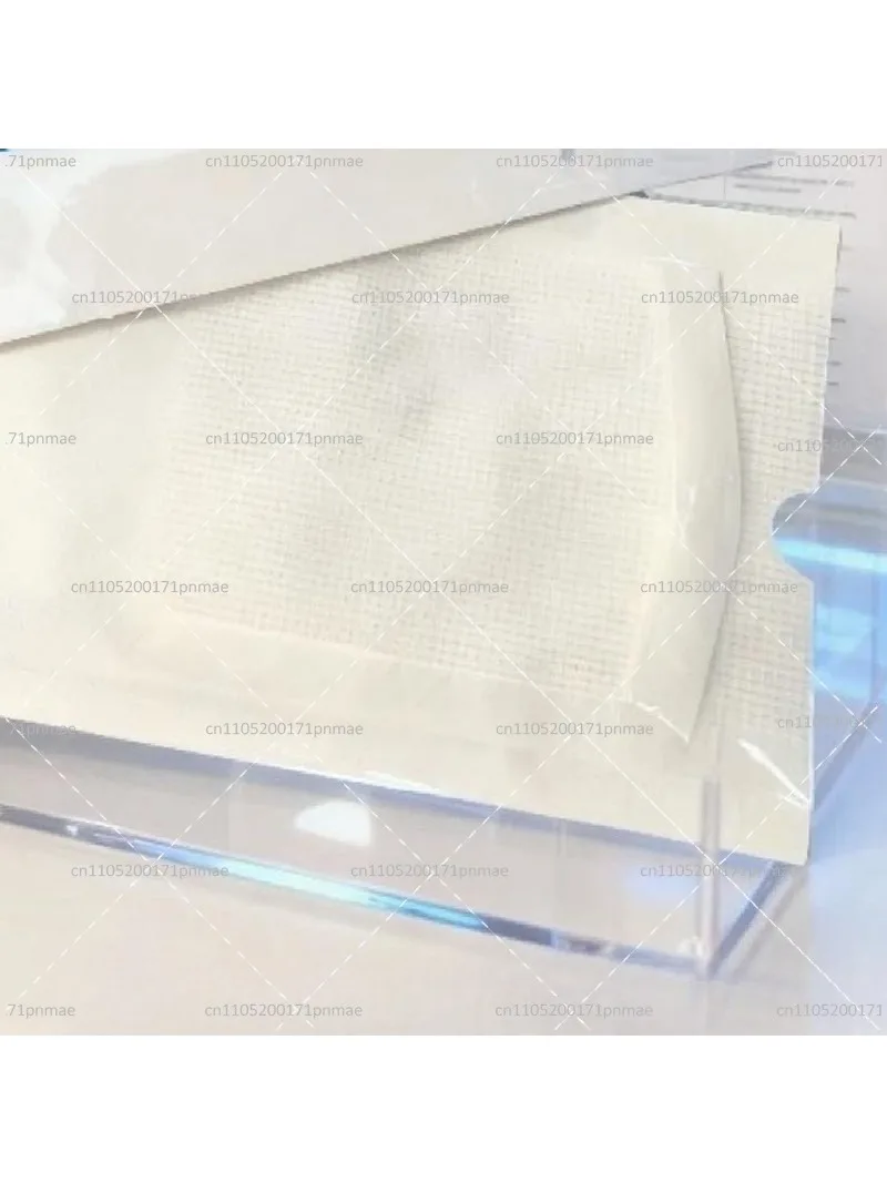 Lightweight Polypropylene Mesh for Surgical Repair, 10x15cm 15x15cm, Sterile Medical Grade