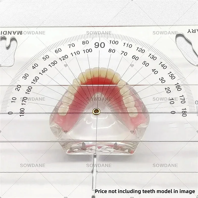 Premium New Guide Plate Lab Cephalometrics Ruler Protractor Measuring Tool