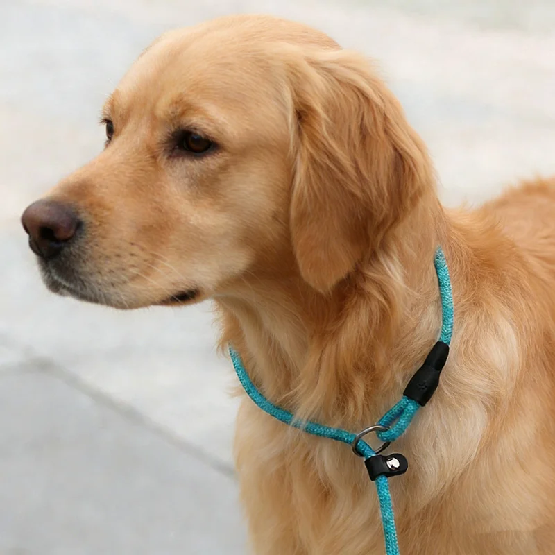 Dog Leash Slip Chains Collar Leads Strong Heavy Duty Nylon Rope No Pull Pet Training Leash for Small Dogs Puppy Traction Rope
