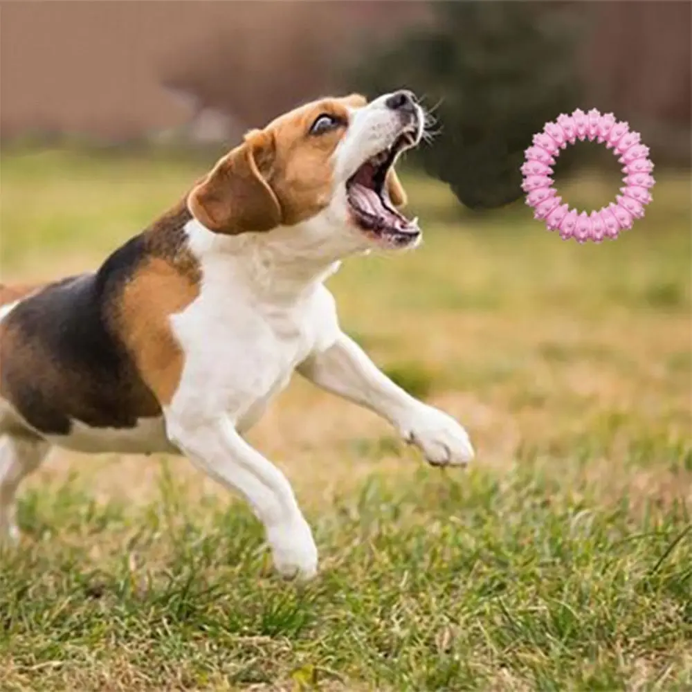 Tanden reinigen van huisdieren Duurzaam hondentrainingsspeelgoed Antislip Creatief puppytandjesspeelgoed Slijtvast Grappig interactief hondenspeelgoed Cadeau