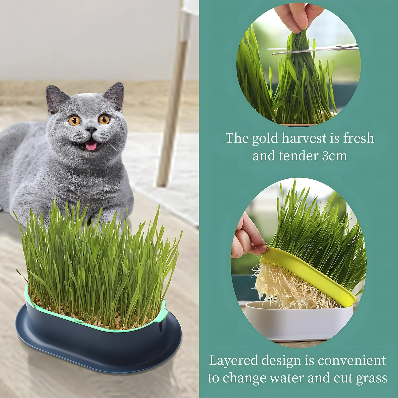 Cat Grass Planter,Cat Grass Kit, Cat Grass Growing Kit, Easy to Plant, No Seeds, Suitable for Indoor