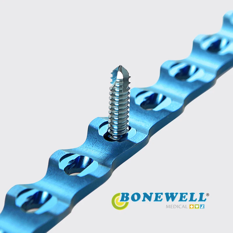 10pcs  Animal ALPS titanium alloy B1.6mm locking self  screw