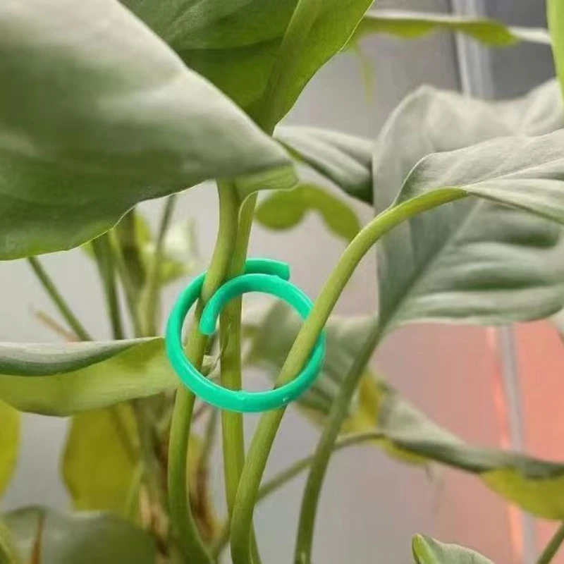 30pcs Gardening Buckle Ring Gourd Ring Gardening Accessories Plant Stalk Plant Accessories Gardening Tools And Planting Supplies