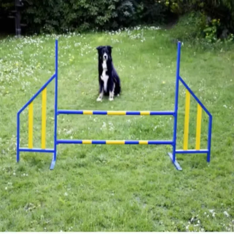 

Outdoor Steel Dog Agility Training Equipment Double Bar Jump Wing Hurdle Bar for Dogs