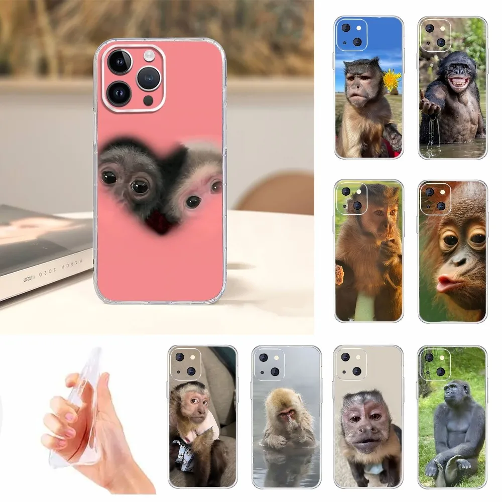 원숭이 Sipping Capri Meme Funda 전화 케이스 Iphone 15 11 13 14 Pro Max 7 8 Plus X Xr Xs Max Se2020 12mini 투명 커버